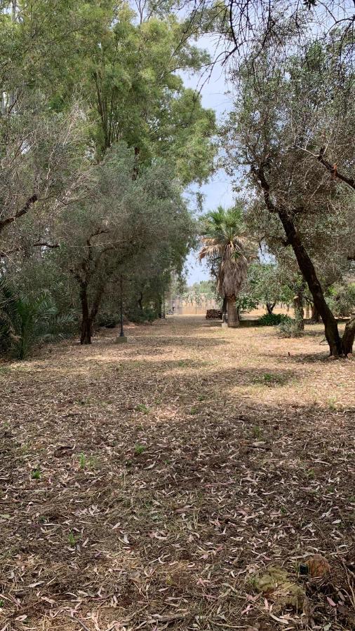 Tenuta Sidore Cursi المظهر الخارجي الصورة