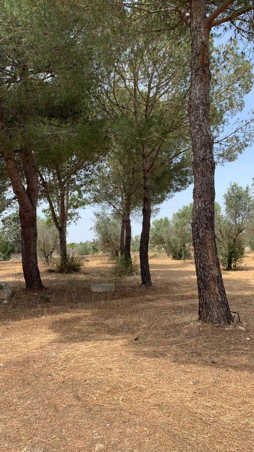 Tenuta Sidore Cursi المظهر الخارجي الصورة